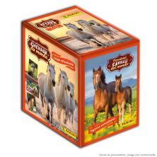 Les plus beaux chevaux du monde - Boîte de 36 pochettes