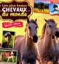 Chevaux / Licornes